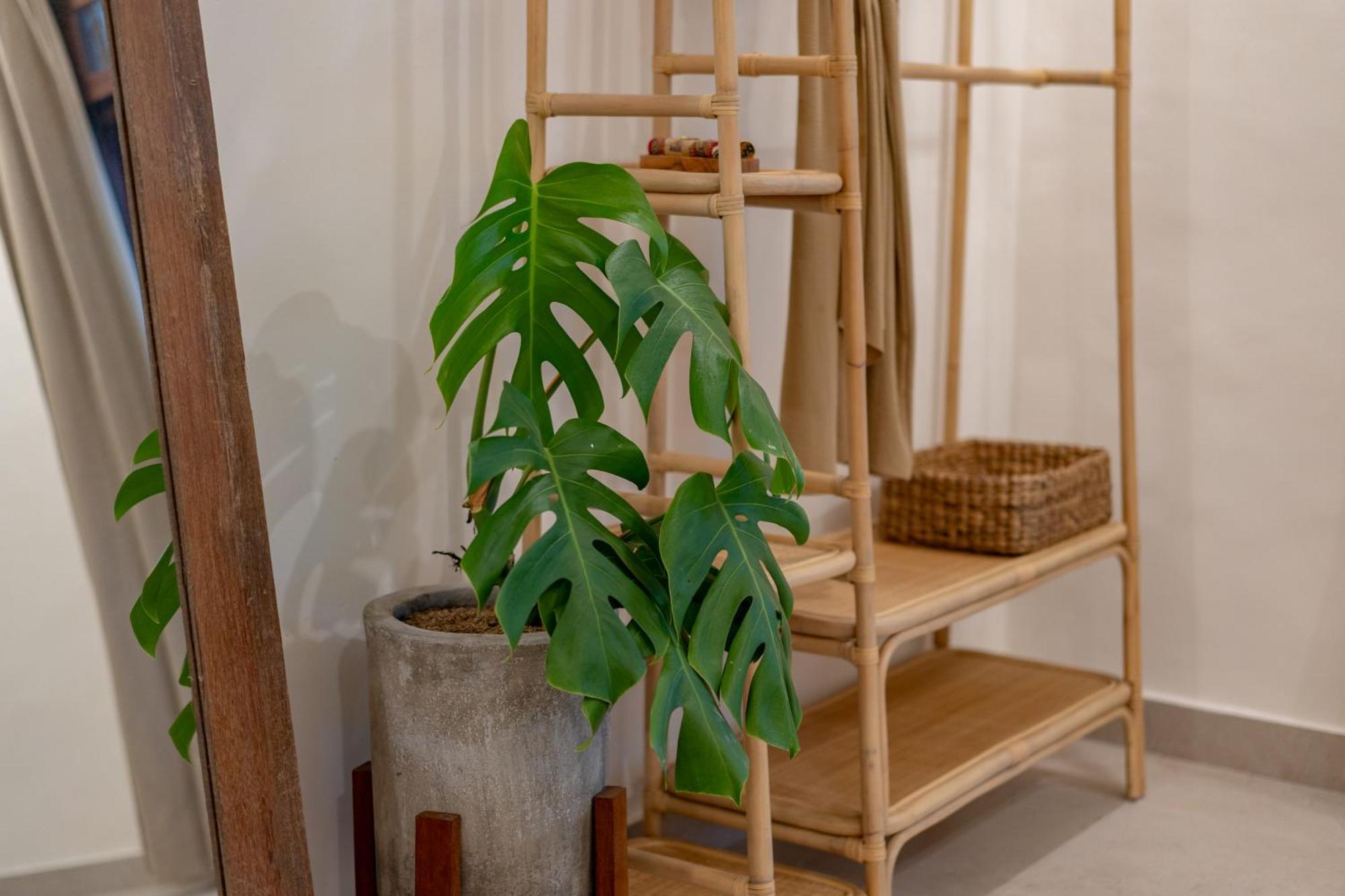 Cozy Up Villa Sanur מראה חיצוני תמונה